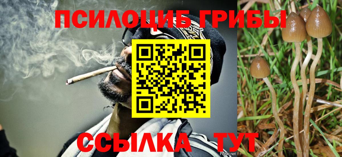 Псилоцибиновые грибы MAGIC MUSHROOMS  Галлюциногенные грибы Magic Shrooms  Вход с VPN  Кыштым 